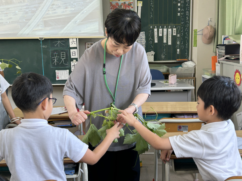 「ぶどうのことを教えてもらったよ」