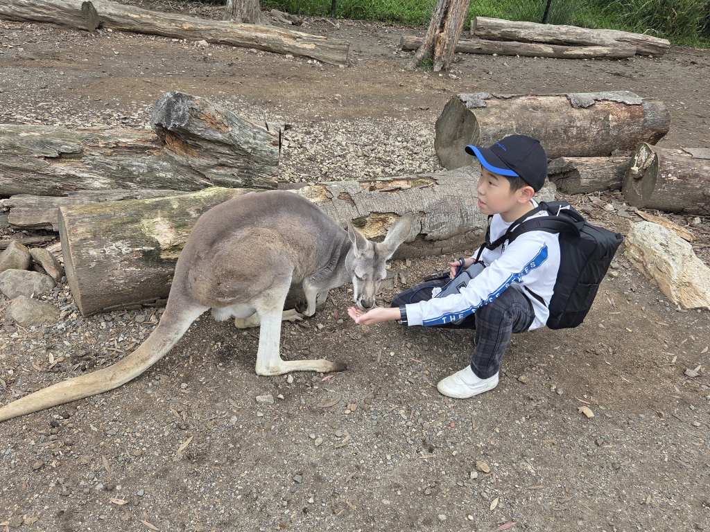 カンガルーと一緒に