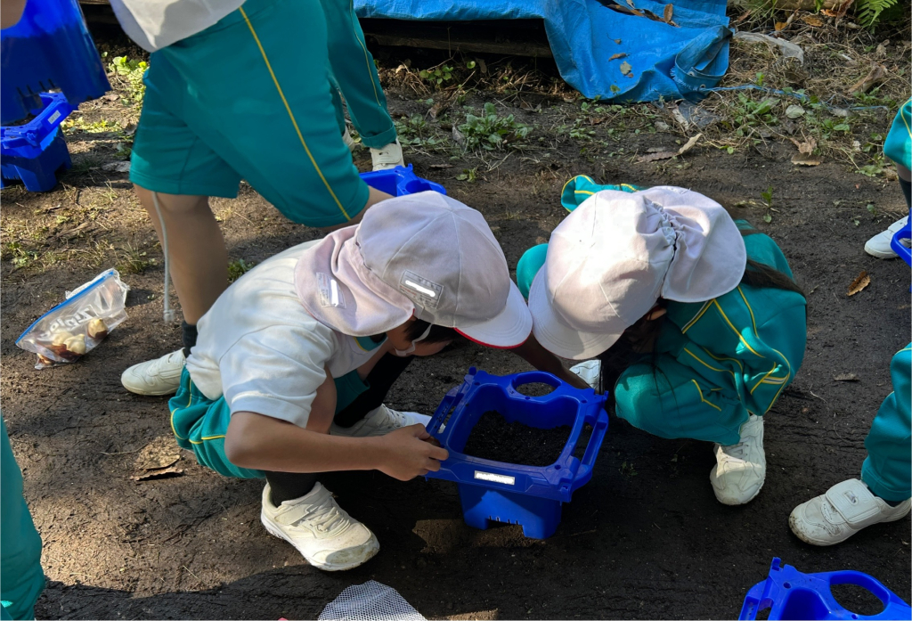 生活科「球根植え」