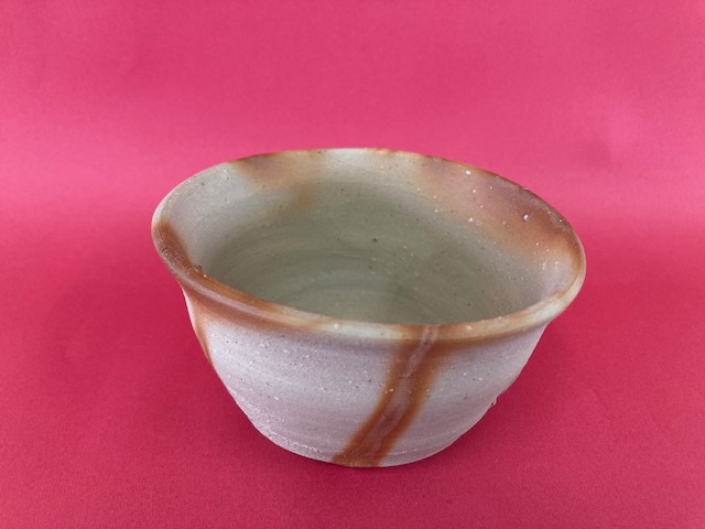 色画用紙の前において、写真を撮りました