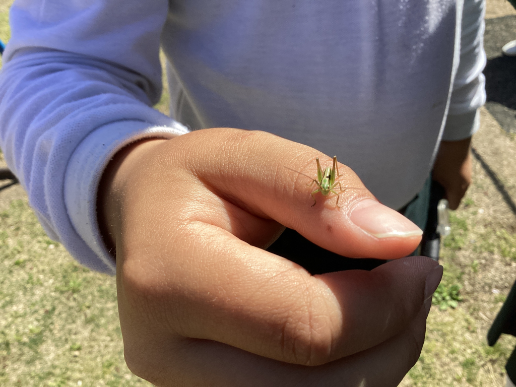 私たちの生活は、周りの環境に影響を受けている