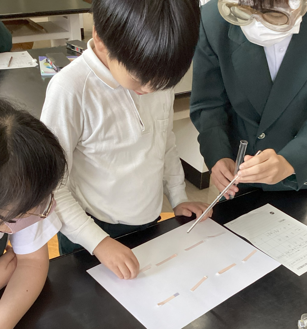 水溶液の性質を調べました