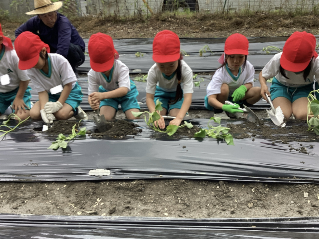 土を優しくかけているよ