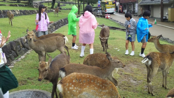 修学旅行二日目