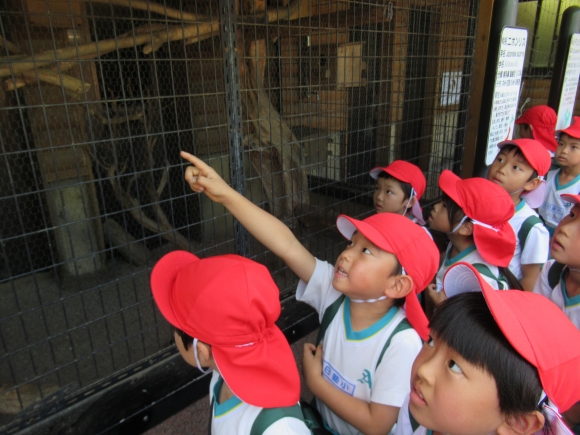 動物園に行きました。