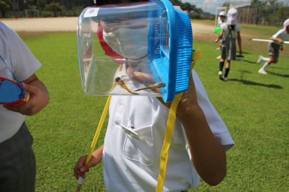 理科の学習で虫捕りをしました！