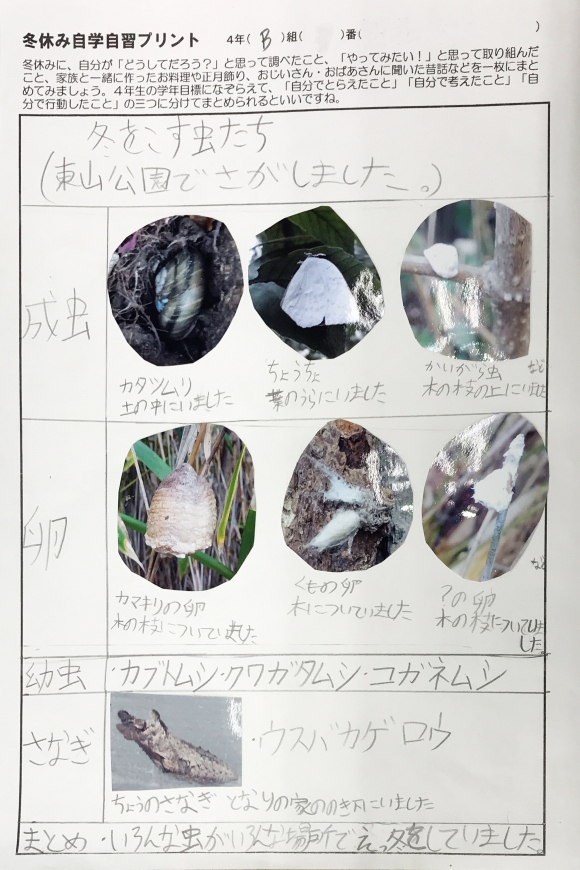 4年生　冬休みの自学自習プリントの紹介