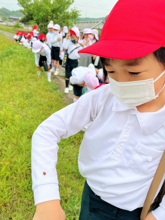 学校のまわり探検に行きました！