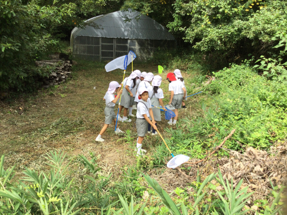 裏山にも色々な虫がいました