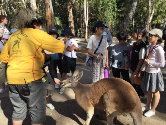 オーストラリア研修旅行　4日目  午後