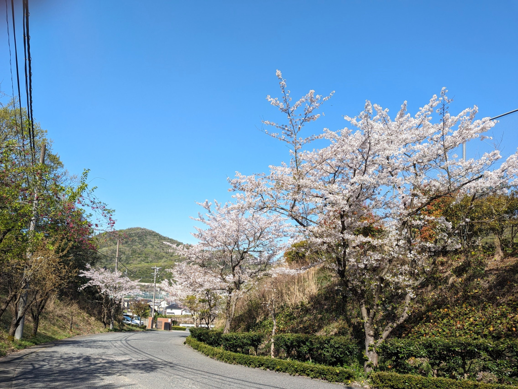 令和6年度　入学式