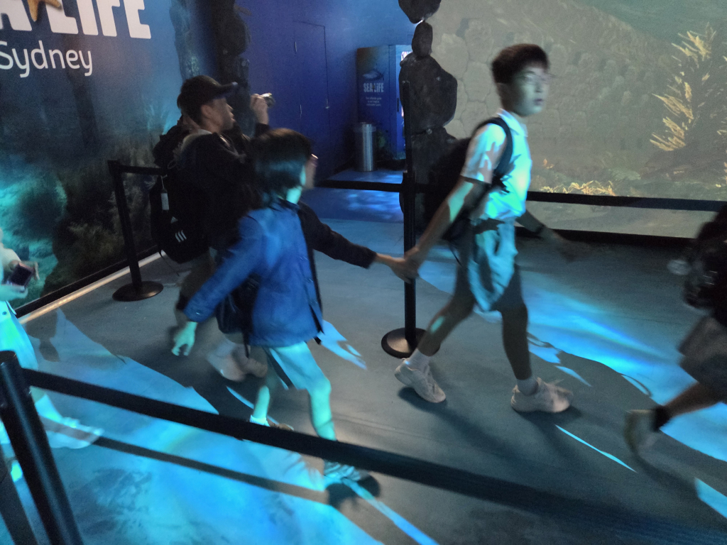 水族館につきました！