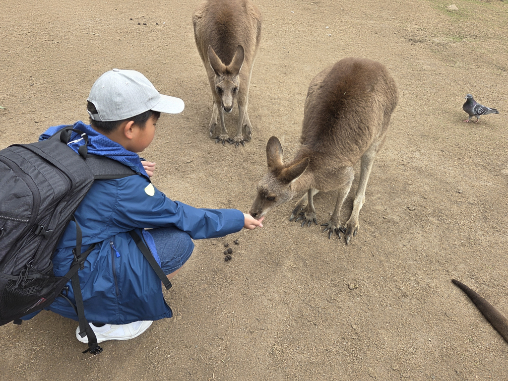 カンガルーと一緒に