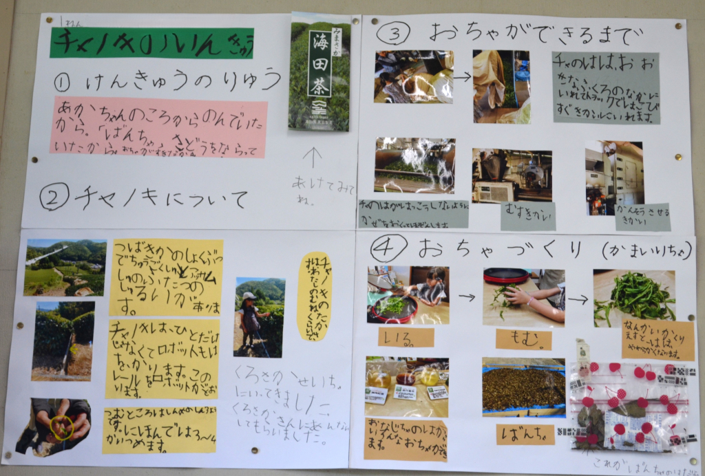 １年生の夏休み