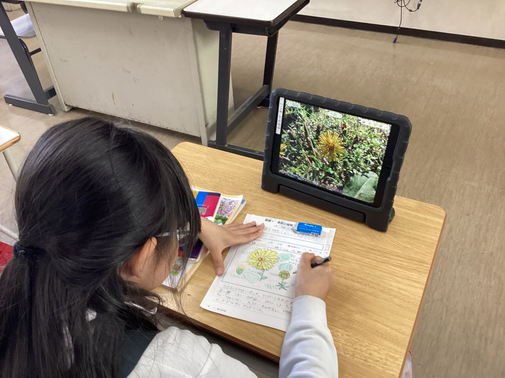 私たちの生活は、周りの環境に影響を受けている