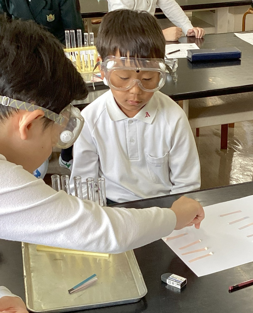 水溶液の性質を調べました