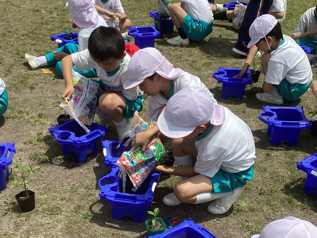 自分だけの苗植え