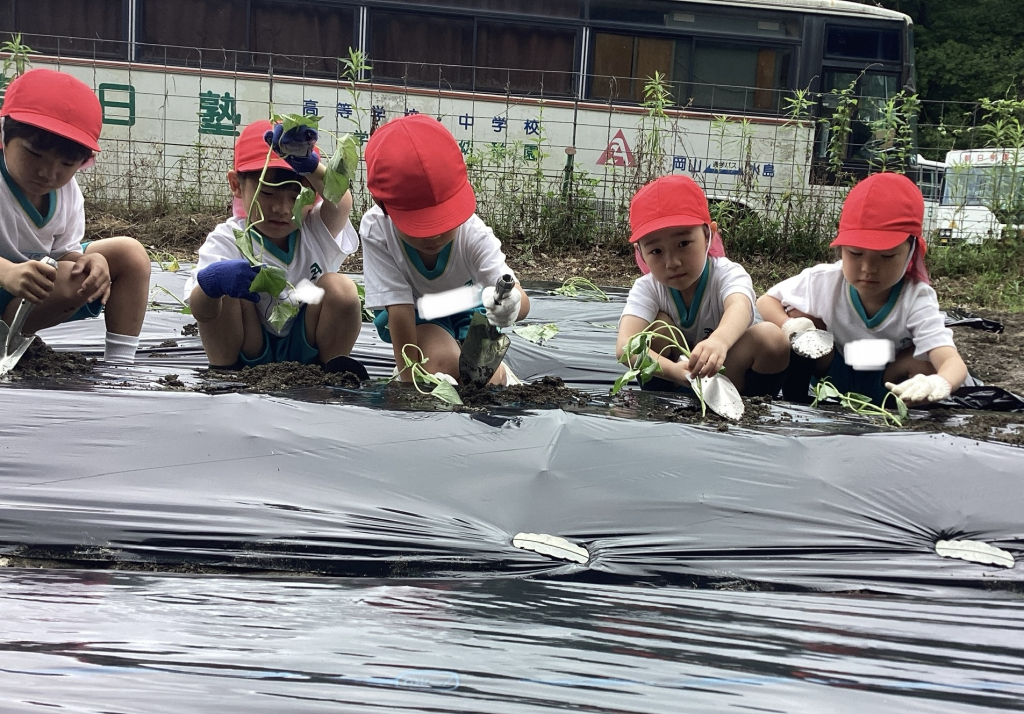 葉の観察もしっかりできた