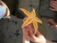 海の学校！