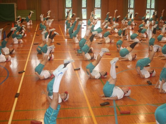 合同体育