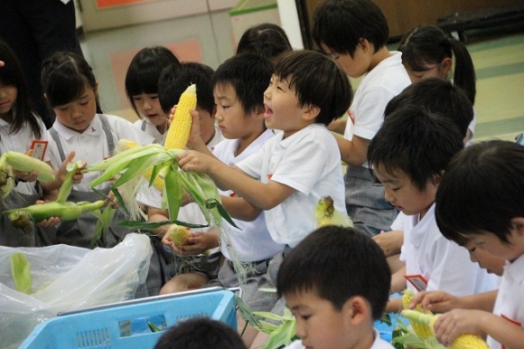 食育のお勉強をしました