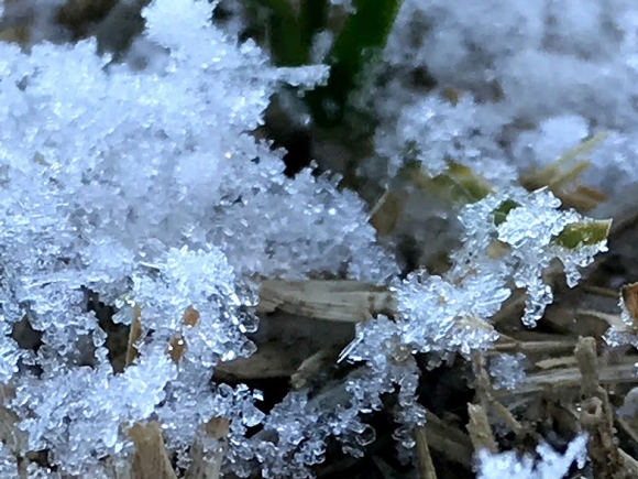 うっすらと雪が・・・。