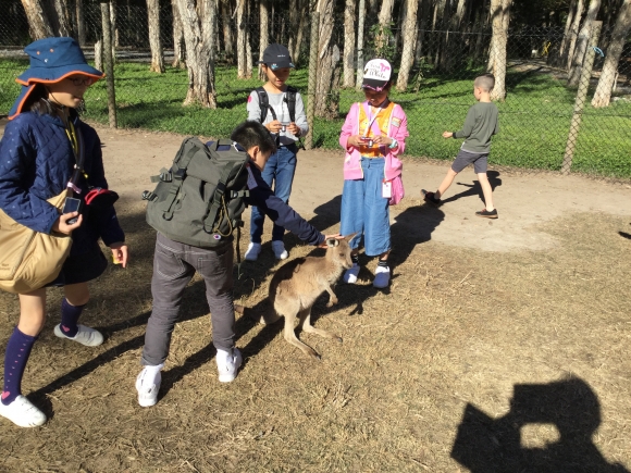 動物園にいきました