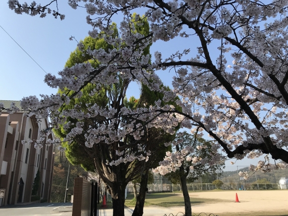 通学練習会