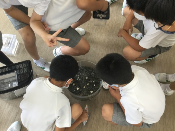 今週のお弁当時間・雨の日の休み時間