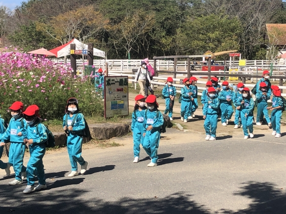 園内はコスモスやバラなど、たくさんの花が咲いていました。