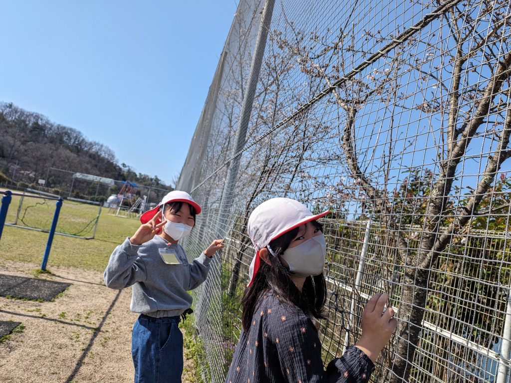 桜の花も咲き始めました