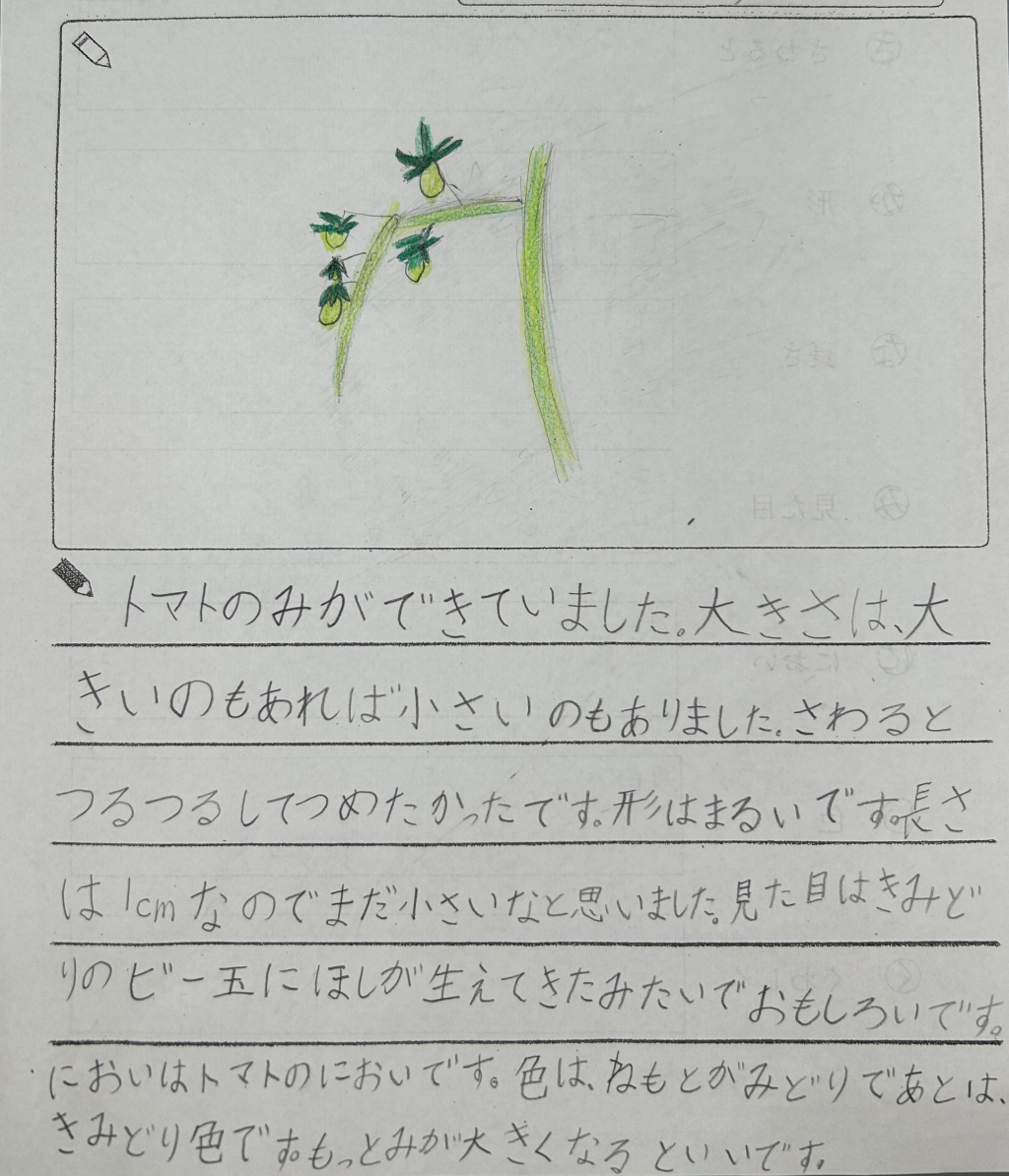 めざせ、かんさつ名人！