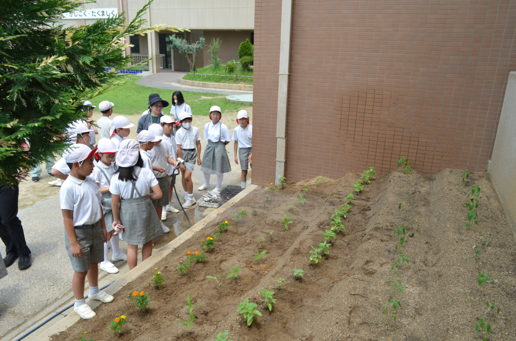 花の苗の植え付け（美化委員会）