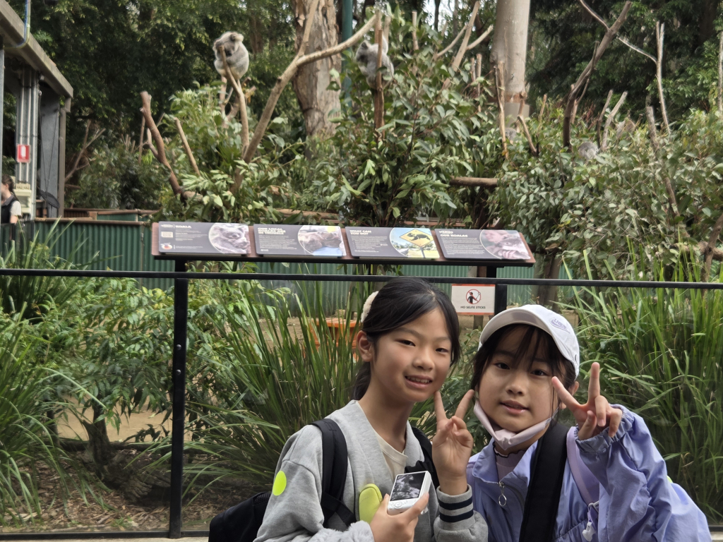 動物園に来ました