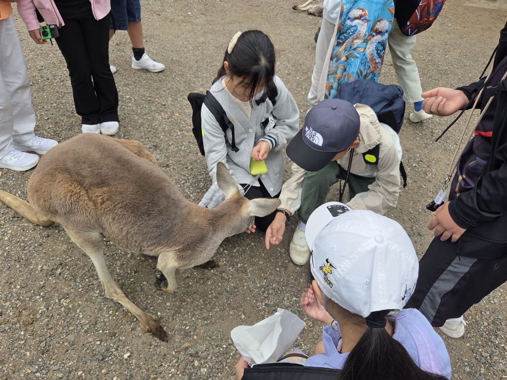 カンガルーと一緒に