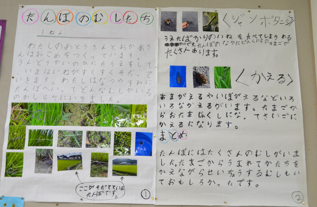 １年生の夏休み