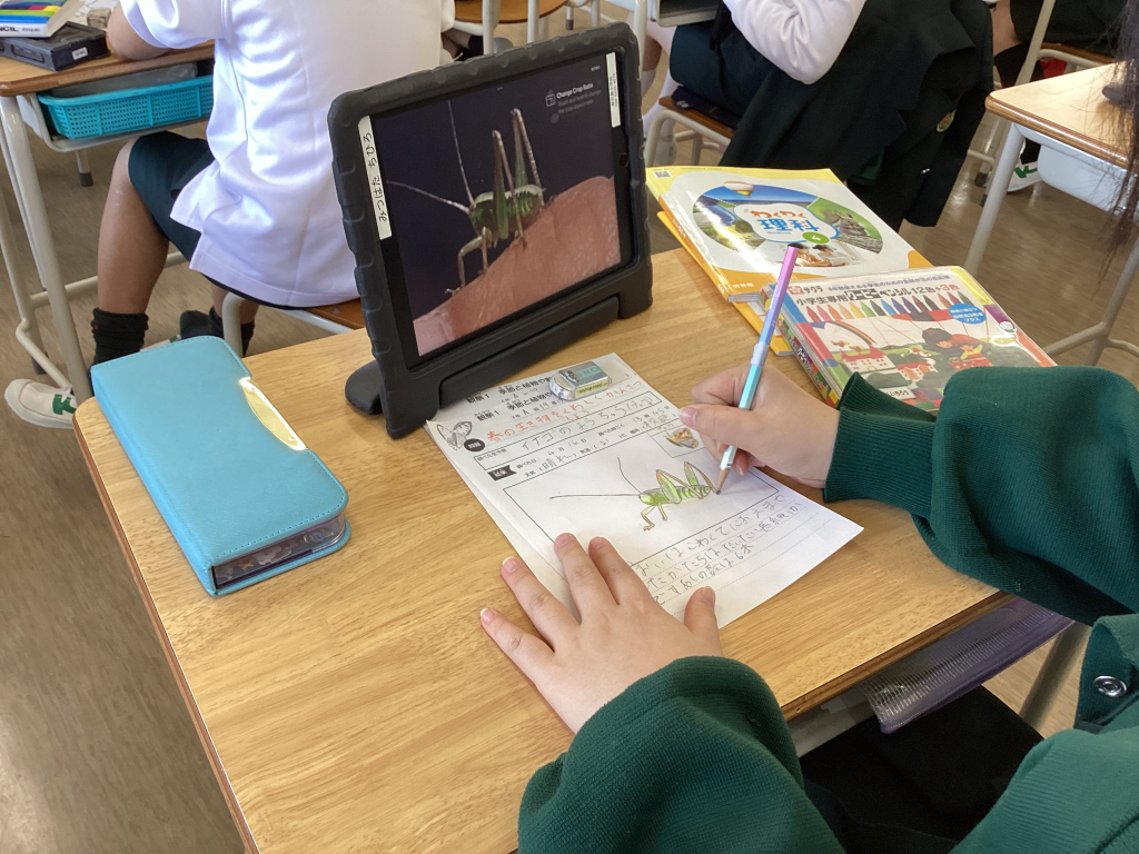 私たちの生活は、周りの環境に影響を受けている