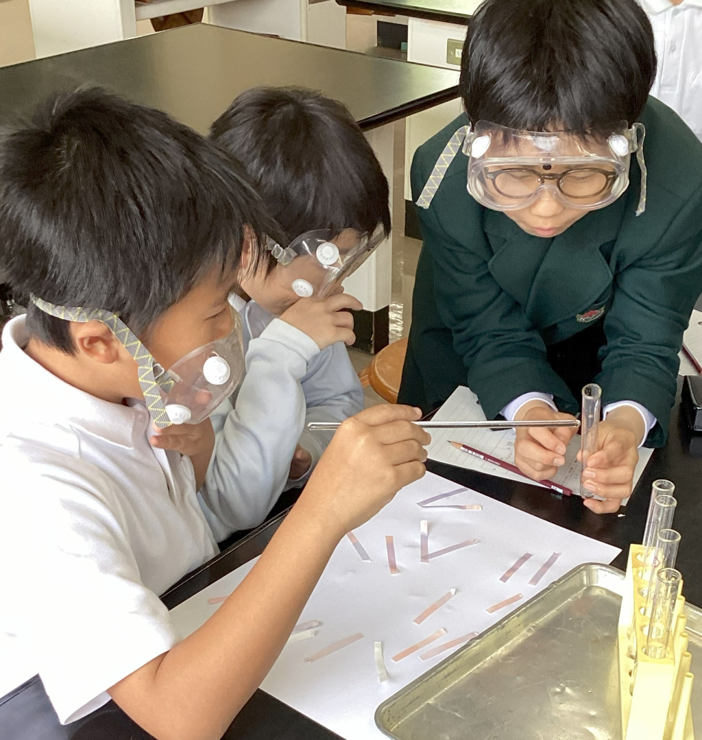 水溶液の性質を調べました