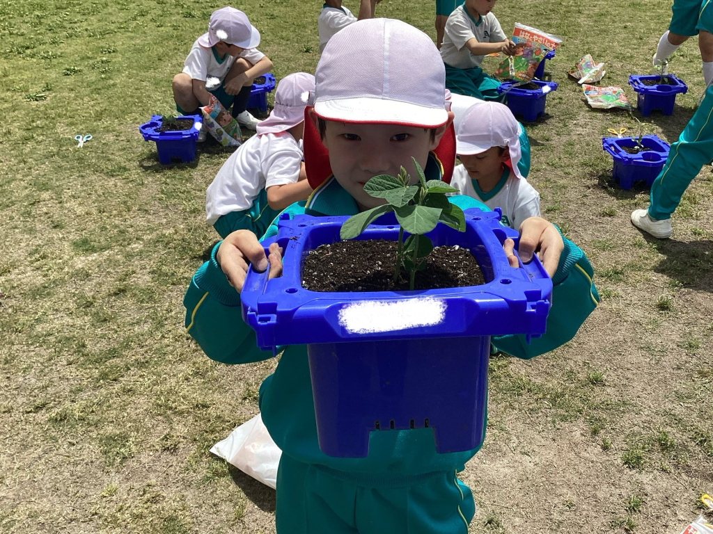 自分だけの苗植え