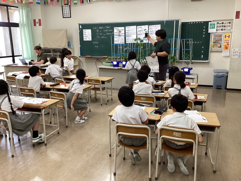 答え合わせ中1
