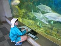 海の学校！