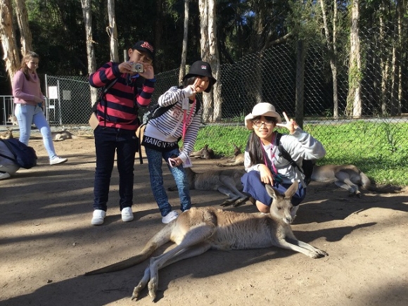 カンガルーちゃんと　その２