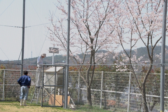 技師の先生は休み中に、色々修理してくださってます。今日は百葉箱。