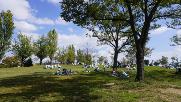 浦安総合公園でのお弁当タイム