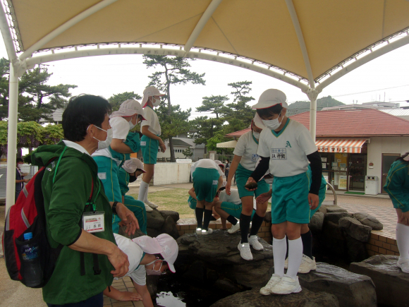 海の学校