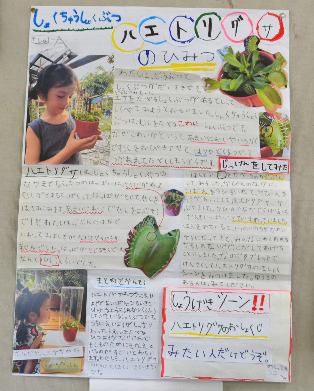 １年生の夏休み