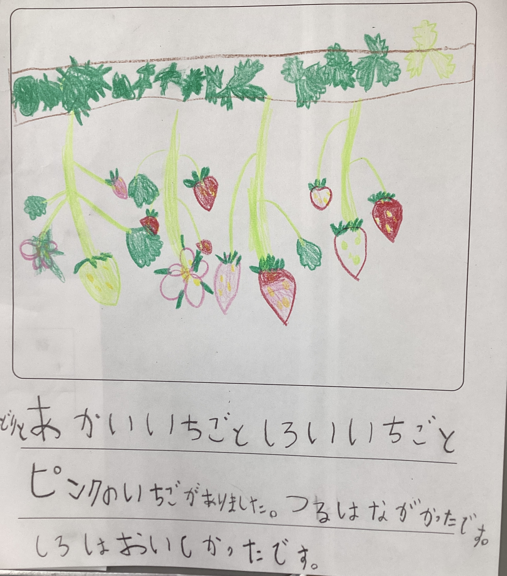 五感で学ぶ！いちご狩り