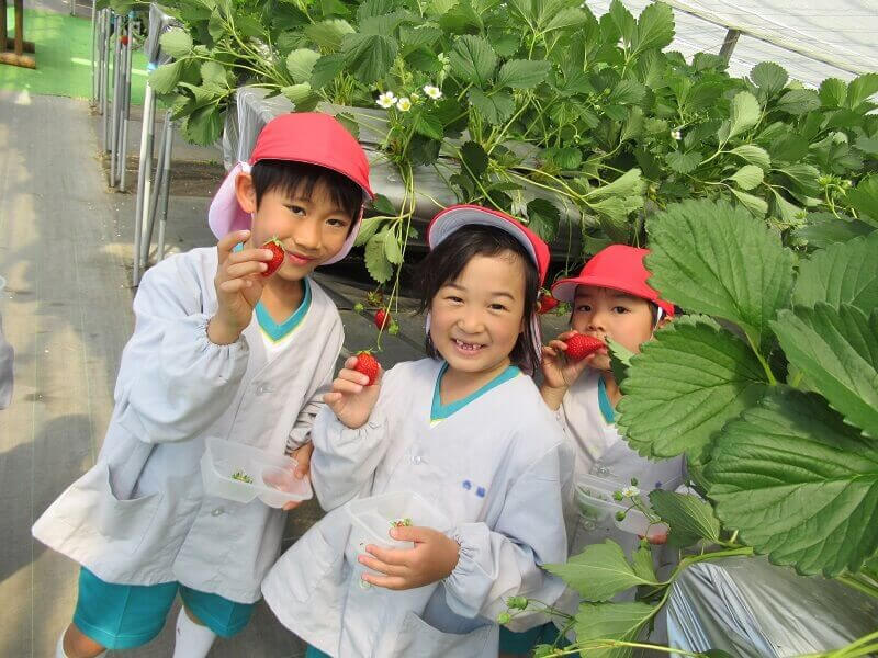 Non-cognitive Skills