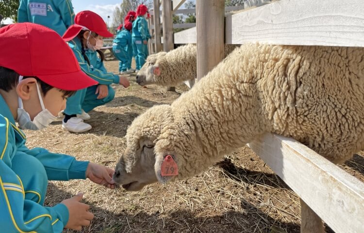 春の遠足