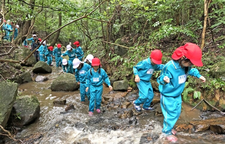 山の学校